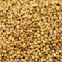 Organic Dhania Coriander Seeds