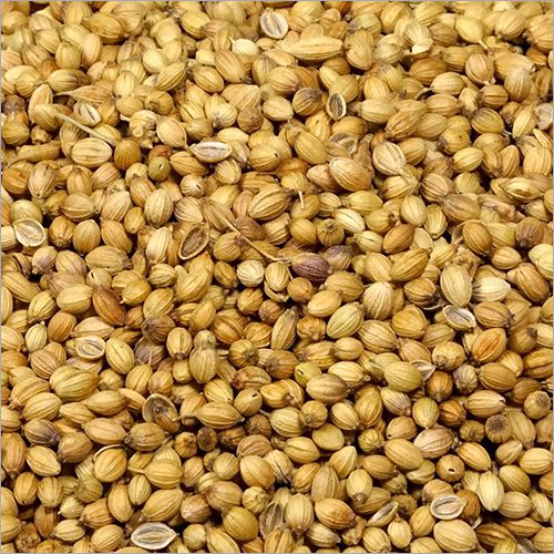 Organic Dhania Coriander Seeds 100g