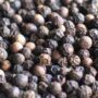 Organic Black Pepper