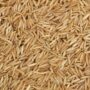 Organic Brown Basmati Rice