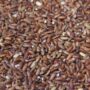 Organic Red Rice