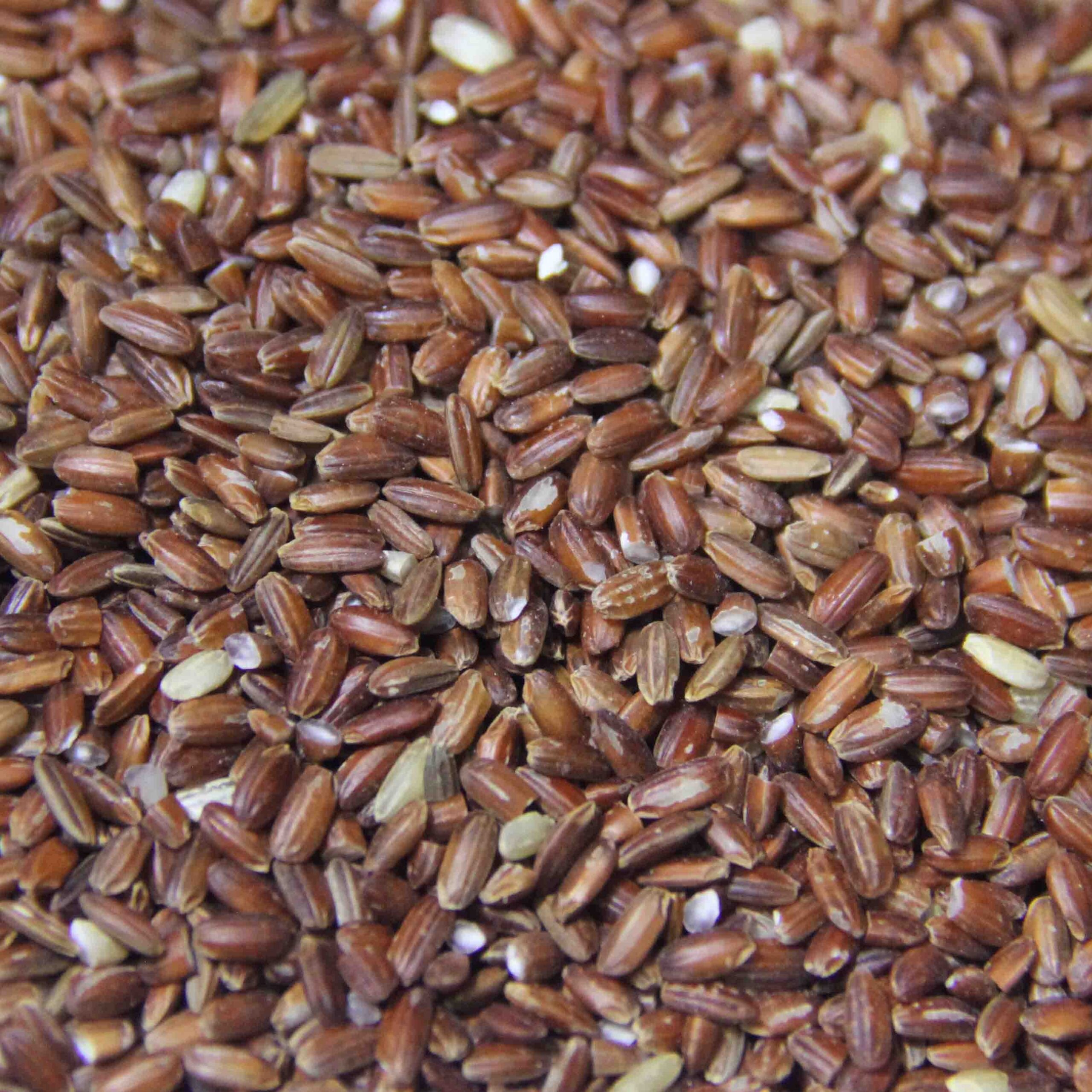 Organic Red Rice 1kg