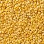 Organic Foxtail Millet