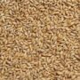 Organic Jau Barley