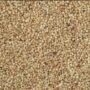 Organic Little Millet