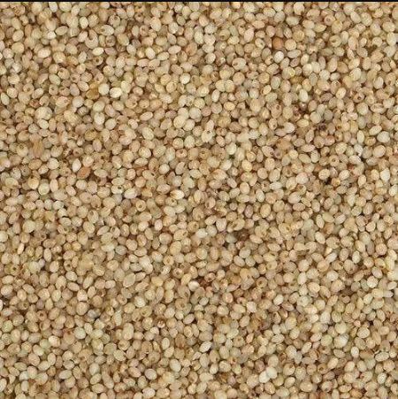 Organic Little Millet 1kg