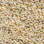 Organic Browntop Millet