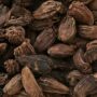 Organic Black Cardamom