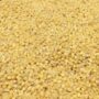Organic Proso Millet