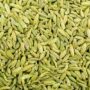 Organic Sauf Fennel Seed